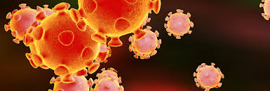The Impact of Coronavirus on Visa Approvals at the USCIS