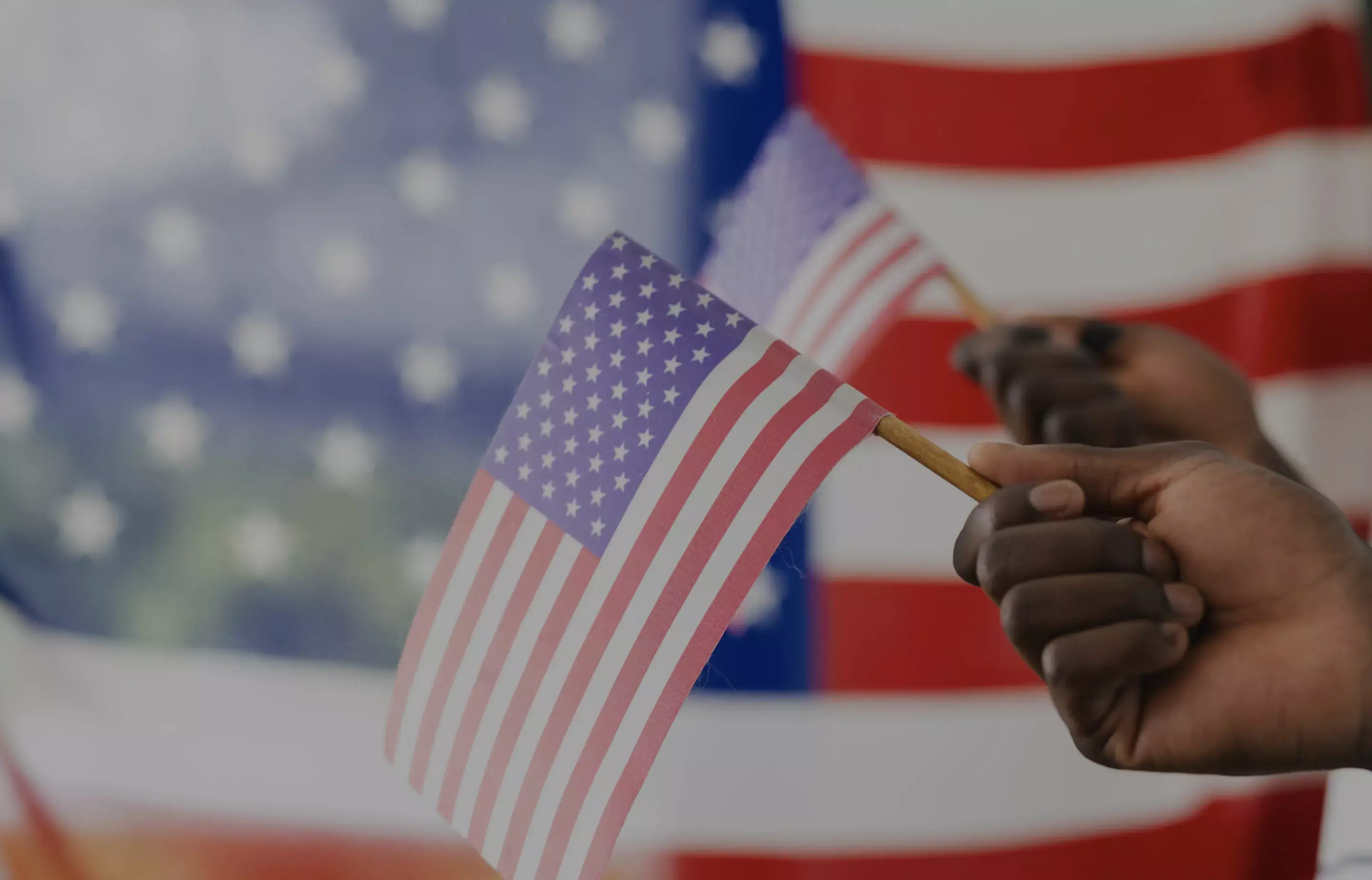pollak-banner-image-flags-hands-lighterscreen